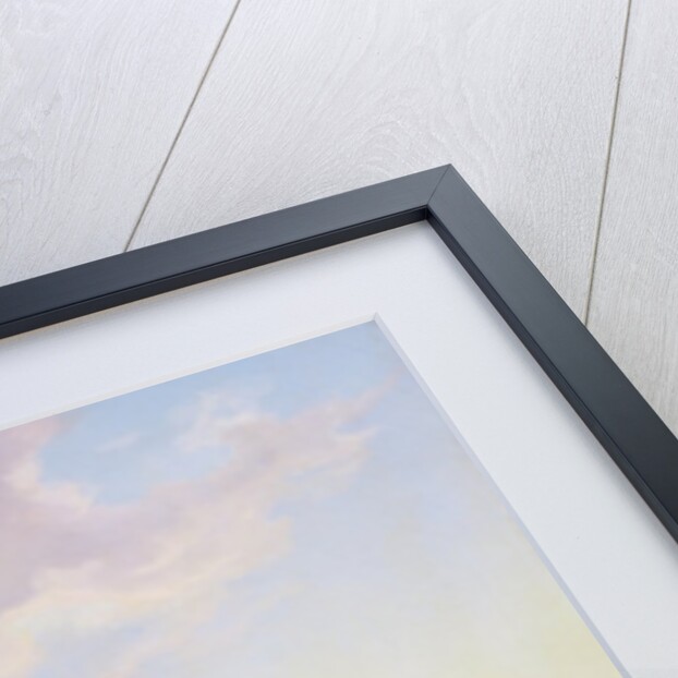 The Garden of Johannes Amsinck on the Binnenalster, 1837 by Marcus Johann Haeselich