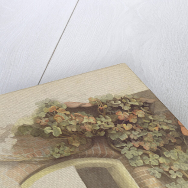 Grapevines on a Brick House, 1832 by Johann Martin Gensler