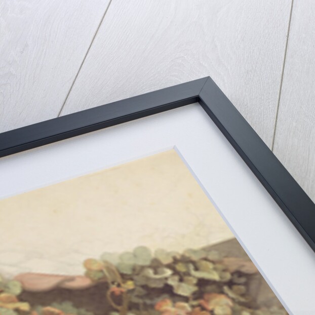 Grapevines on a Brick House, 1832 by Johann Martin Gensler