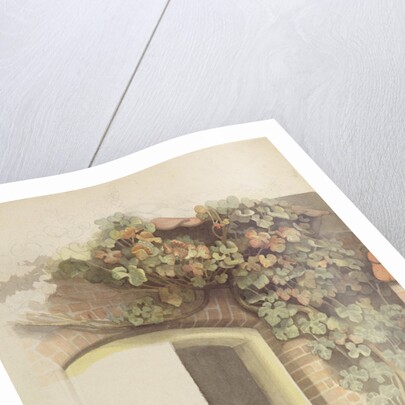 Grapevines on a Brick House, 1832 by Johann Martin Gensler