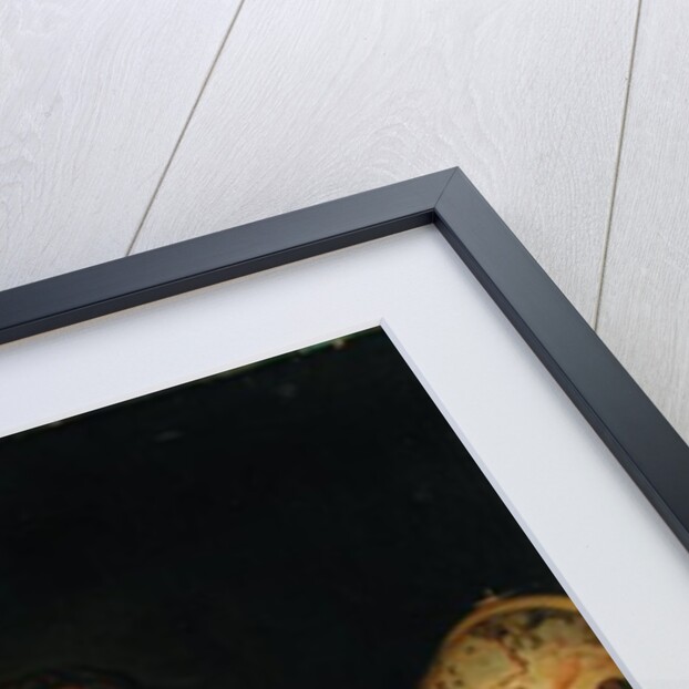 Portrait of a Young Scholar of the Kerckring Family by Ferdinand Bol