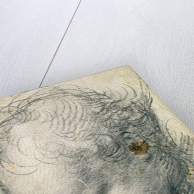 Head of a Cherub by Raphael