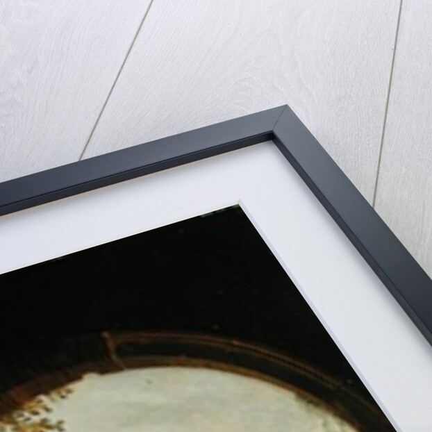 Venetian View, 1817 by Antonio Pian