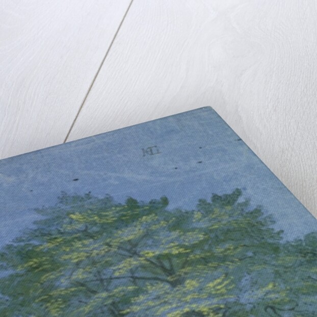 Group of Trees in a Wood, c.1600 by Hendrik Goltzius