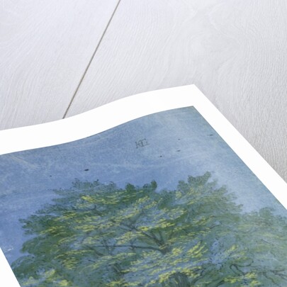 Group of Trees in a Wood, c.1600 by Hendrik Goltzius