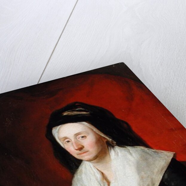 Portrait of Mrs. Wolters, 1797 by Martin Ferdinand Quadal