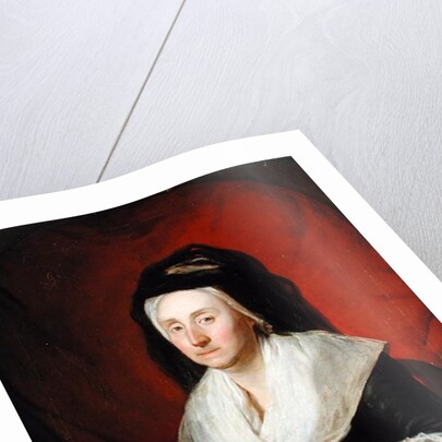 Portrait of Mrs. Wolters, 1797 by Martin Ferdinand Quadal