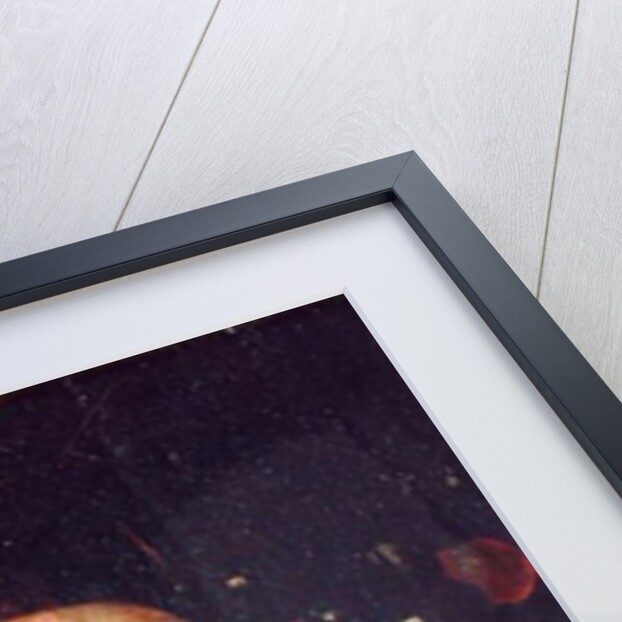 Fruit Study by Ernst Stuven