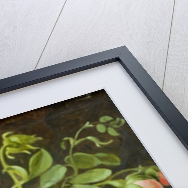 Flower Study by Johann Friedrich August Tischbein