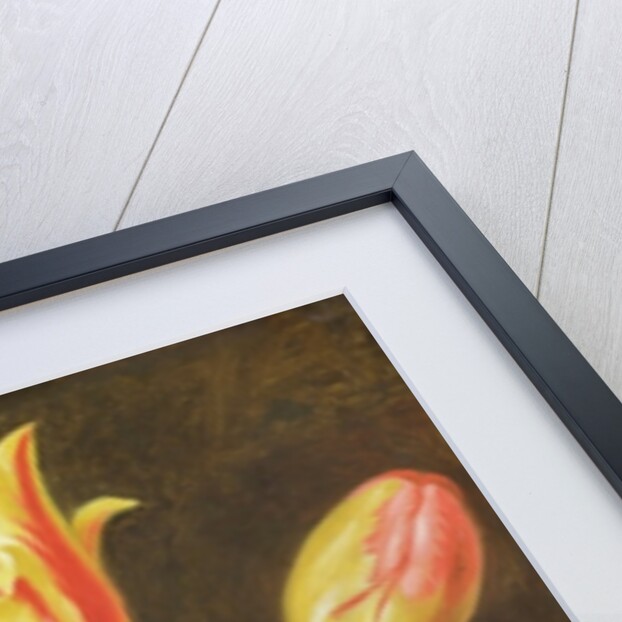 Flower Study by Johann Friedrich August Tischbein