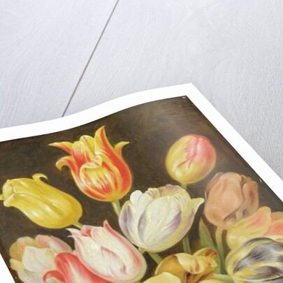 Flower Study by Johann Friedrich August Tischbein