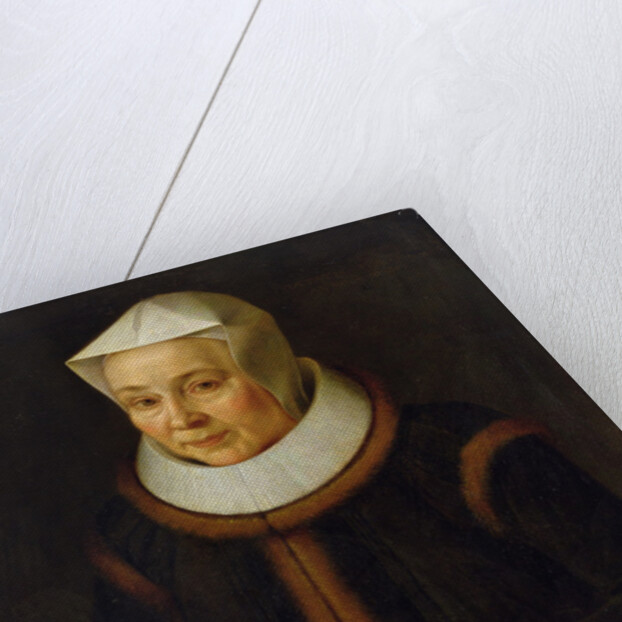 Portrait of the Artist's Mother, 1604 by David Kindt