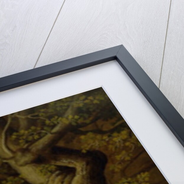 Foxes and Geese by Johann Heinrich Tischbein