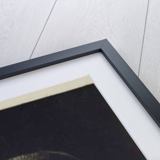 Female Head by Odilon Redon