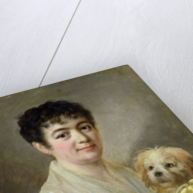 Portrait of an Unknown Woman, 1809 by Johann Ernst Heinsius