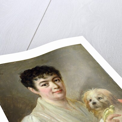 Portrait of an Unknown Woman, 1809 by Johann Ernst Heinsius