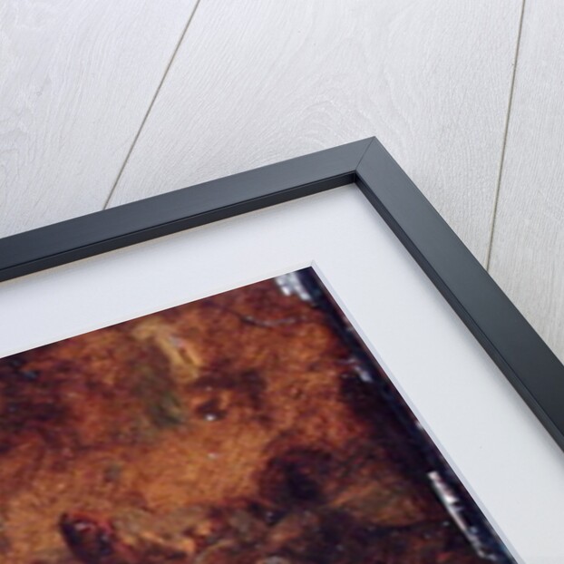 Sheep, Goats and Chickens by Johann Christian Reinhardt