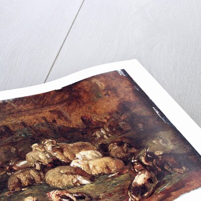 Sheep, Goats and Chickens by Johann Christian Reinhardt