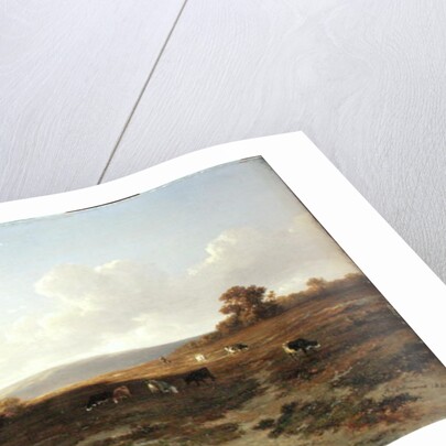 Heath Landscape with Cows, 1852 by Francois Auguste Ortmans