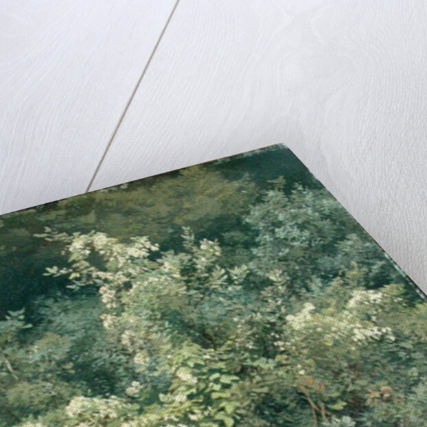 Hops and Ferns in Woodland, 1870 by Valentin Ruths