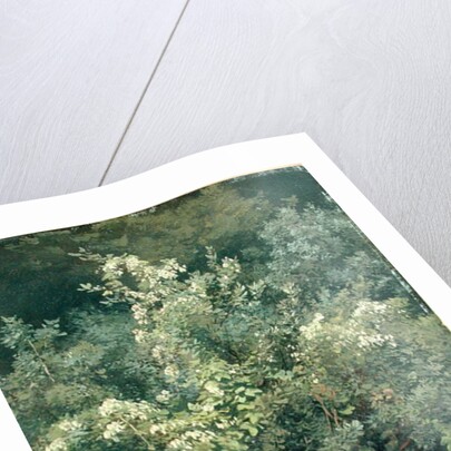 Hops and Ferns in Woodland, 1870 by Valentin Ruths