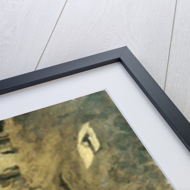 Street in Olevano by Carl Schuch