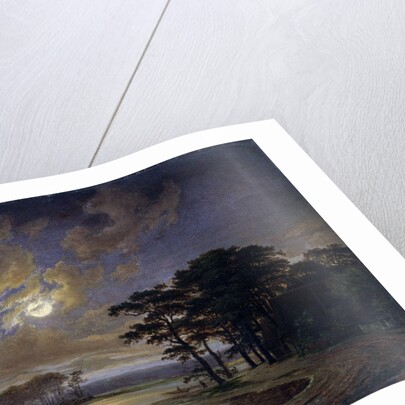 Holstein Sea - Moonlight, 1847 by Johann Georg Haeselich