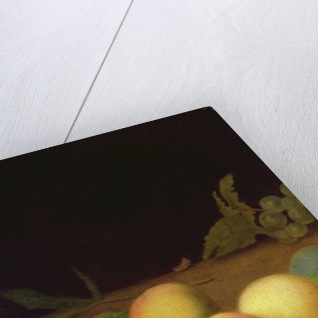 Fruit Still Life, 1730 by Balthasar Denner