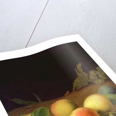 Fruit Still Life, 1730 by Balthasar Denner