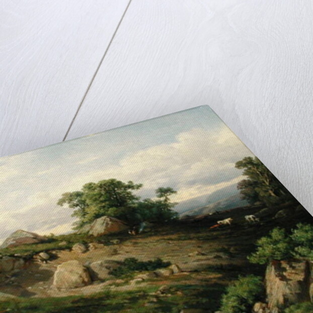 Valley Slope with Rock Fall, 1861 by Adolf Mosengel