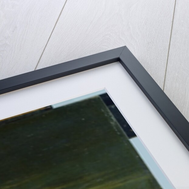 Moonlit Landscape by Aert van der Neer