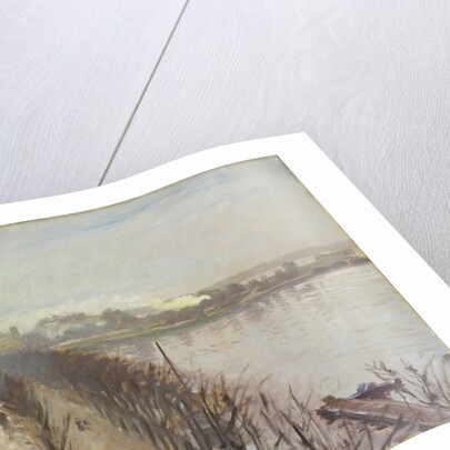 Binnenalster and Neuer Junfernstieg in Hamburg by Laurits Regner Tuxen