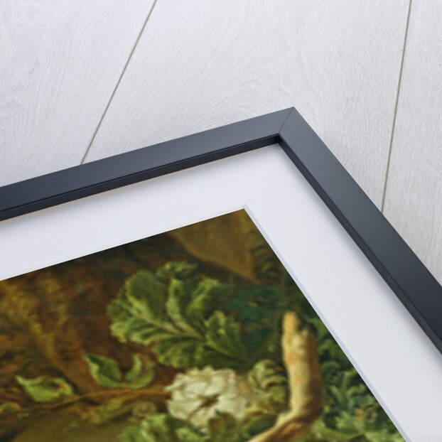 Still Life by Jan Weenix