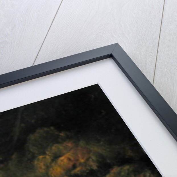 A Rider watering his Horse in a Stable, 1840 by Joseph Moerenhout