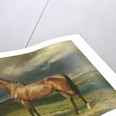 Abdul Medschid the chestnut arab horse, 1855 by Carl Constantin Steffeck