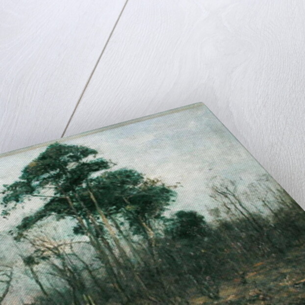 Park Landscape: Forest in Spring by Rudolf Hockner