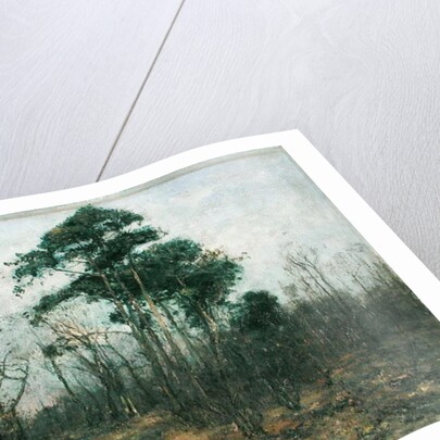 Park Landscape: Forest in Spring by Rudolf Hockner