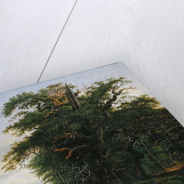 Oak Wood, 1847 by David Christopher Mettlerkamp