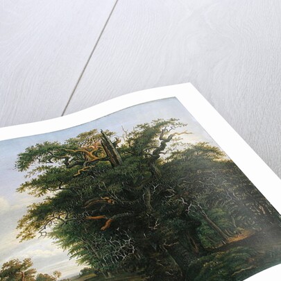 Oak Wood, 1847 by David Christopher Mettlerkamp