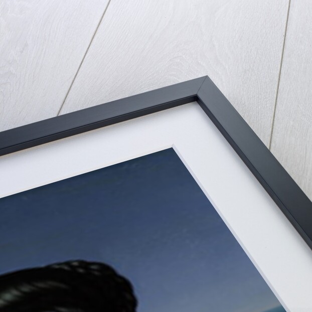 Carolina Grossi, the first Wife of the Artist, 1813-14 by Peter von Cornelius