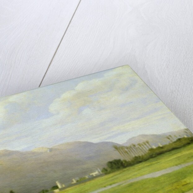 Asyut on the Nile, 1873 by John Rogers Herbert