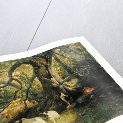 Resting Flock, 1863 by John William Bottomley