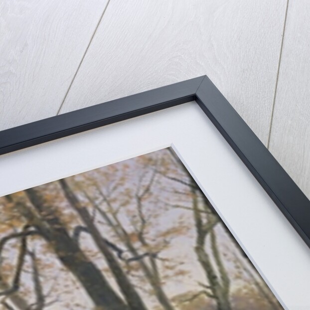 A Clearing in an Autumnal Wood, 1890 by Max Kuchel