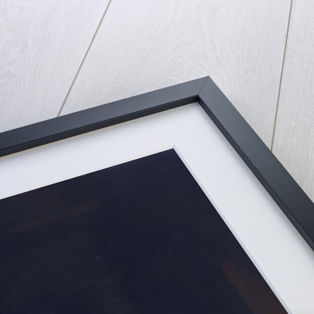 Still Life by Jacob van der Heyden