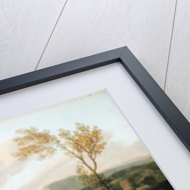 Animalia by Dirck van Bergen