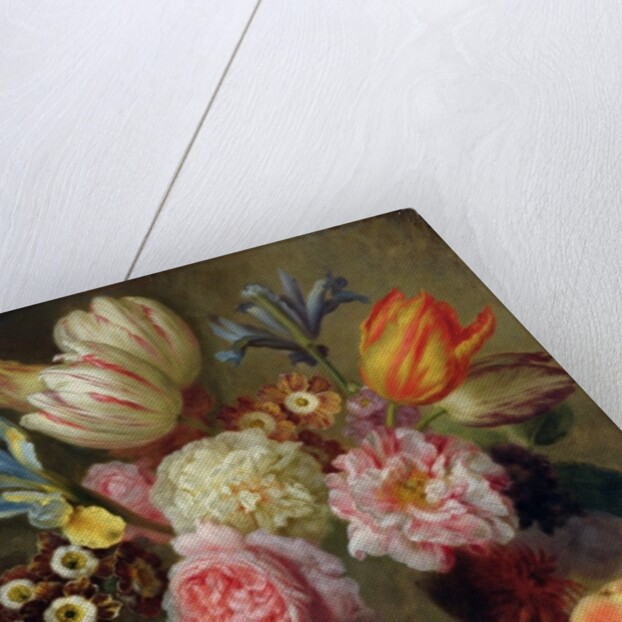 Flower Study by Balthasar Denner