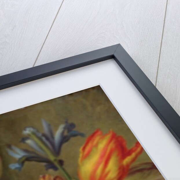 Flower Study by Balthasar Denner