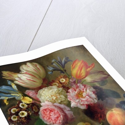 Flower Study by Balthasar Denner