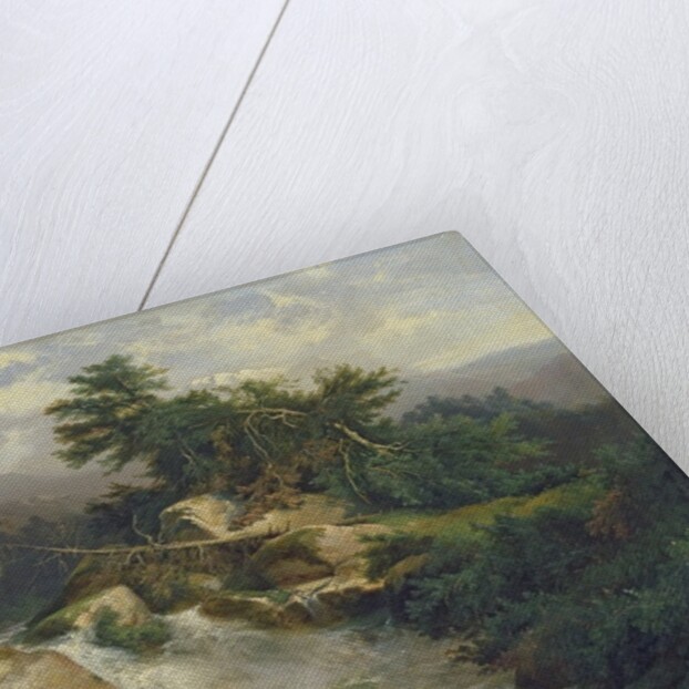 Forest Landscape with Waterfall by Julius Bakof