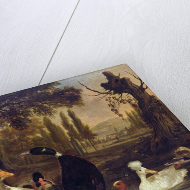 Water Birds by Dirck Wyntrack